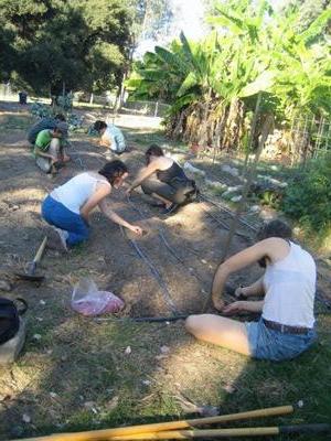 学生们在农场种植